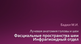 инфрагиоидный отдел