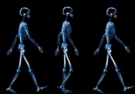 Обучение рентгенологов по кт и мрт